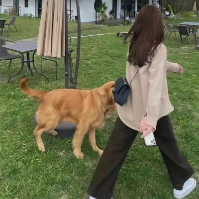 为什么害我